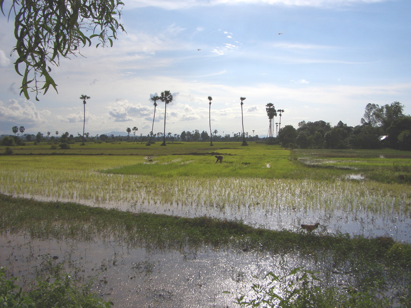 gal/05 - Tonle Bati/RIMG2000.jpg